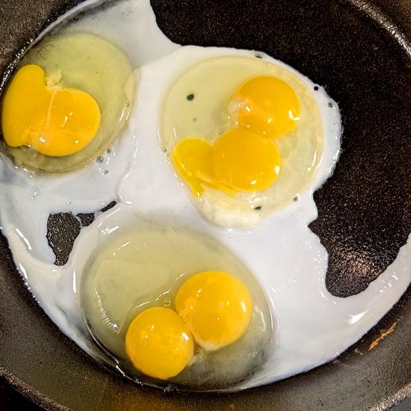 2 twin eggs in a row