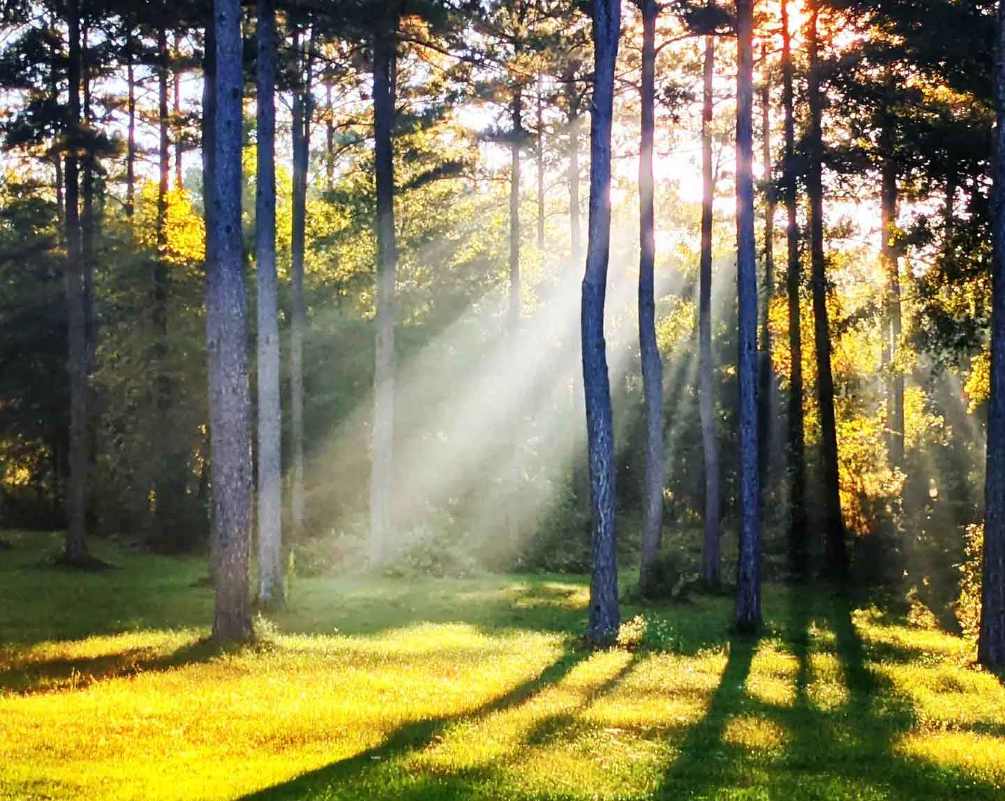A fall sunrise in the pasture