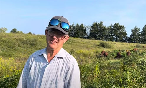 Greg Judy with his cattle foraging.