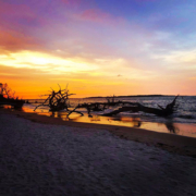 Boneyard beach sunset shot A great shot of the sun setting at Boneyard beach.