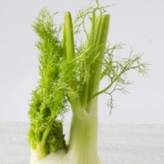 fennel