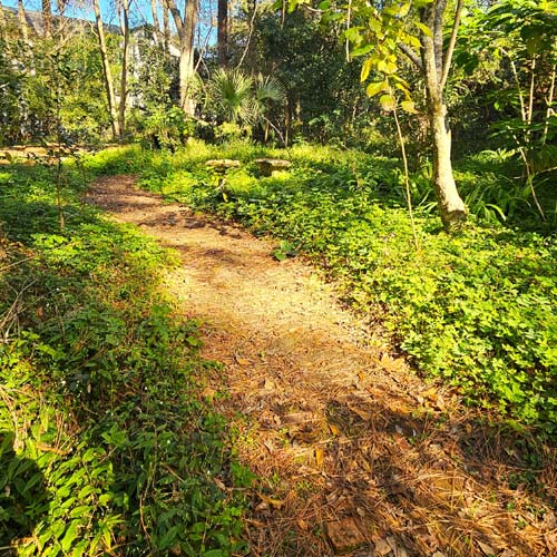 litchgate garden path path at lichgate
