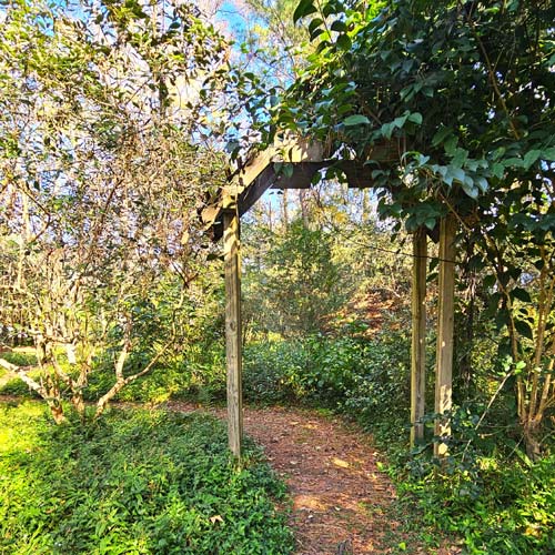 path at lichgate lichgate path